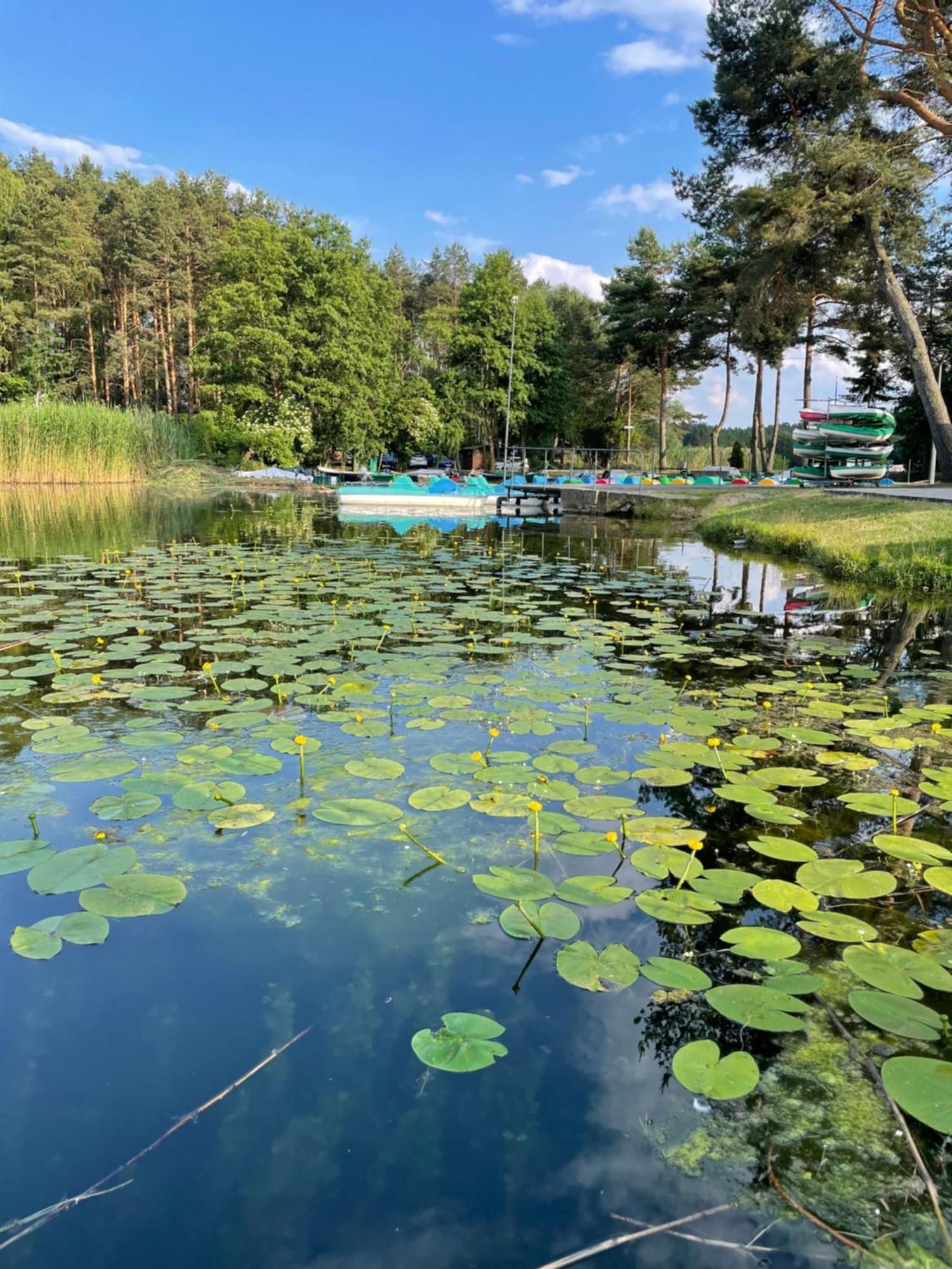 Osrodek Wypoczynkowy "Julia" W Samociazku Hotel Samociążek Kültér fotó